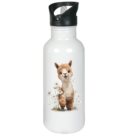 Alpaka - Edelstahl-Trinkflasche